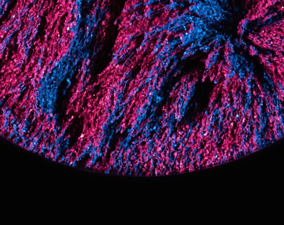 From above textured background of majestic ferrofluid illuminated with pink and blue neon light